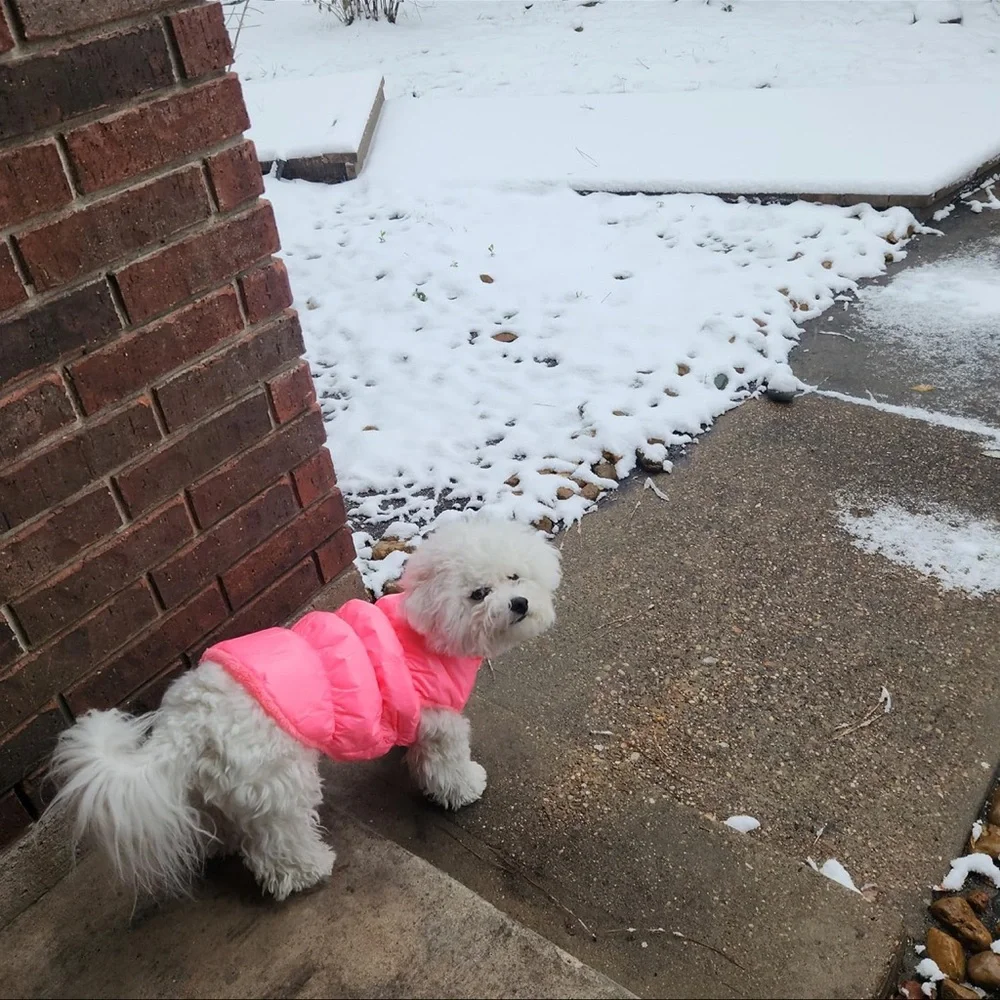 Pink Dog Coat Jacket | Warm Winter Pet Coat |X-Large | Cute & Cozy